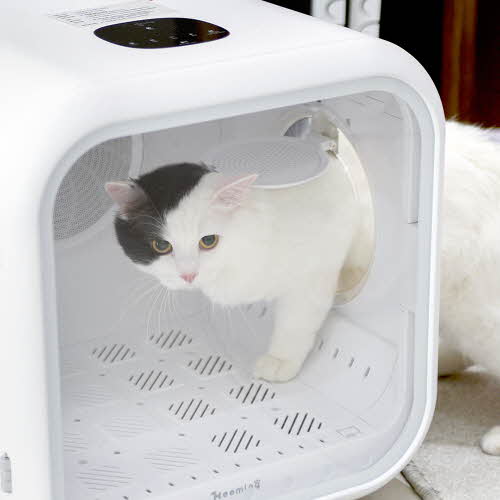 펫도매,[히밍] 펫 드라이룸 강아지 고양이 드라이기 (화이트) [소형견용-7kg이하]